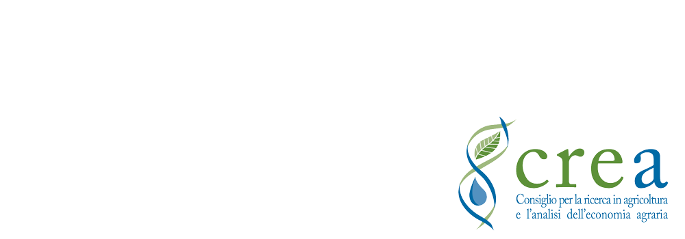 Italian Food Design